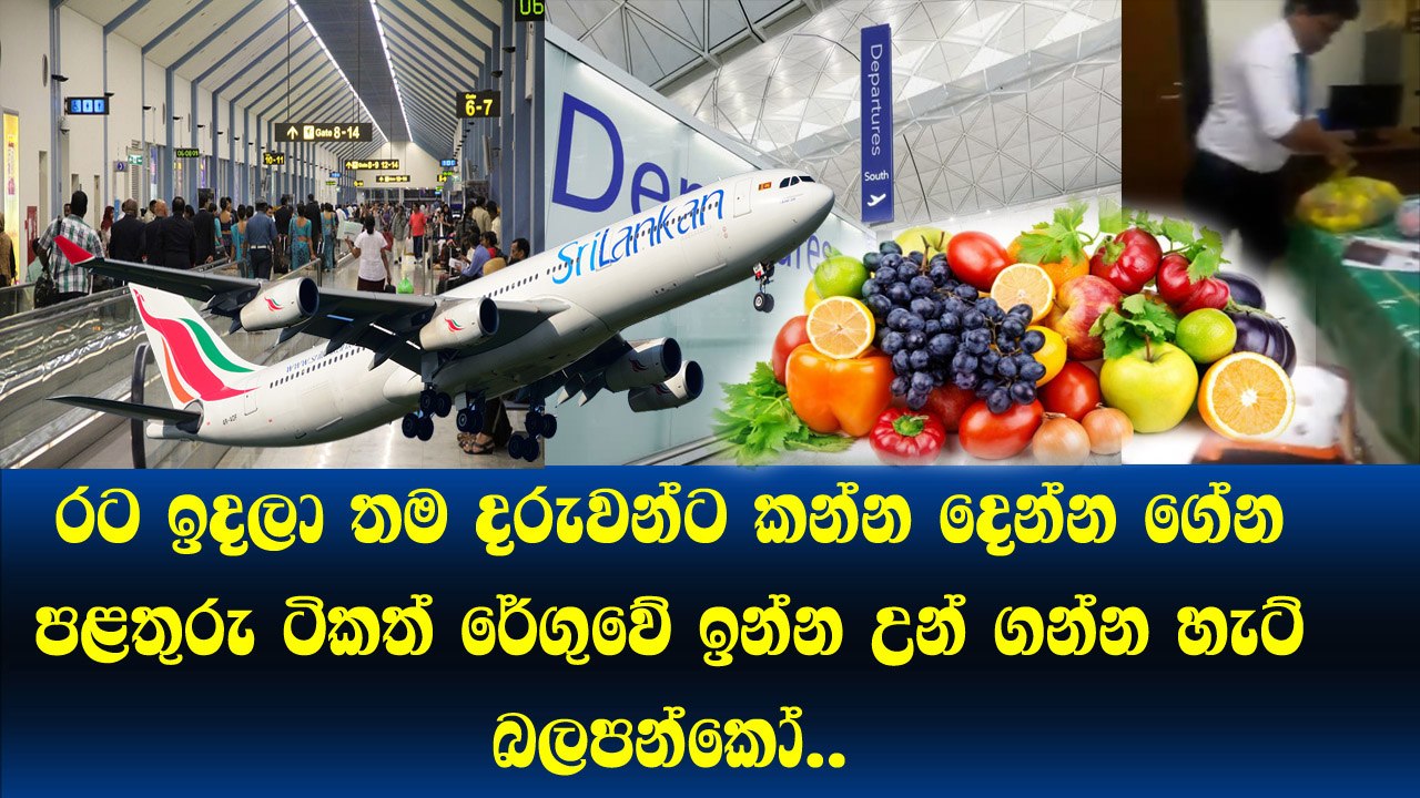 පිටරට ඉදලා ලංකාවට එද්දී පළතුරු ගේන්න එපා.. රෙගුවේ අප්පච්චිලා පළතුරු පූජාවකට කියලා සේරම ගන්නවා