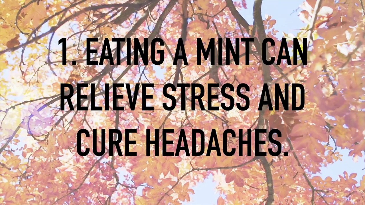 10 Health Life Hacks :  Best Life hacks