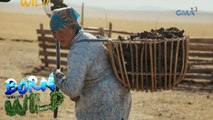 Born to Be Wild: The resourceful Mongolians