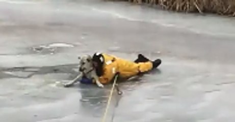Fire Chief Shares Icy Rescue of Dog That Fell Into Creek