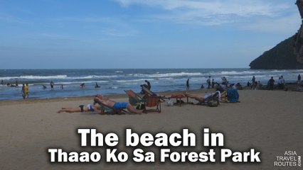 The beach in Thaao Ko Sa Forest Park