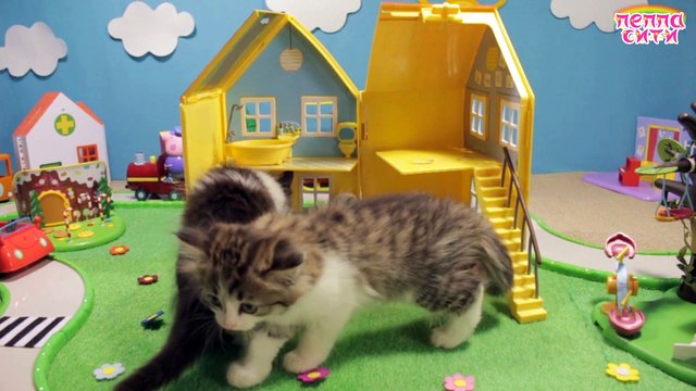 Мультфильм Свинка Пеппа новая серия КОТЯТА ИГРАЮ В ПЕППА СИТИ