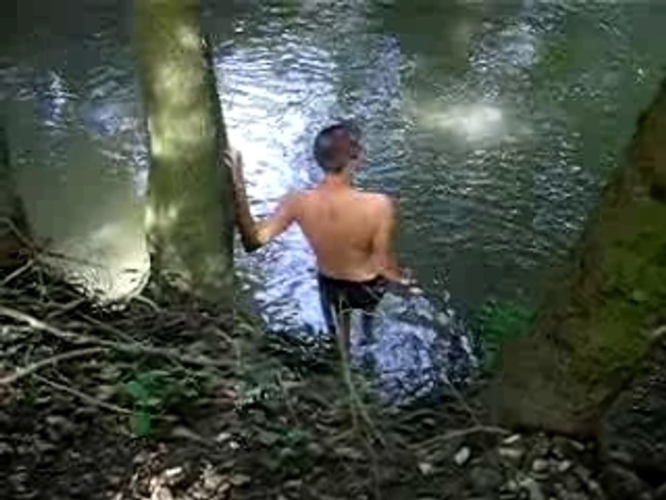 Roro à l'eau