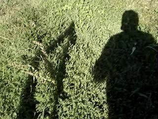 Twingo 2 RS test routier