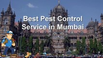 Pest control mumbai | pest control services in mumbai | National pest control service