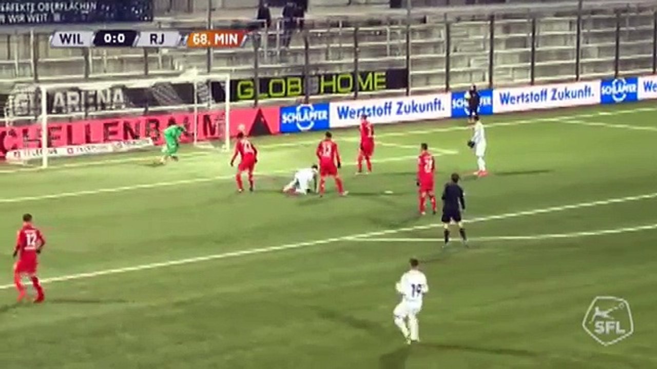 Wil 1:0 Rapperswil-Jona (Swiss Challenge League. 2 December 2017)