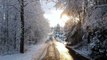 Il filme la vie de ses chiens dans la neige en Finlande : le paradis !