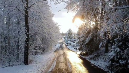 Il filme la vie de ses chiens dans la neige en Finlande : le paradis !