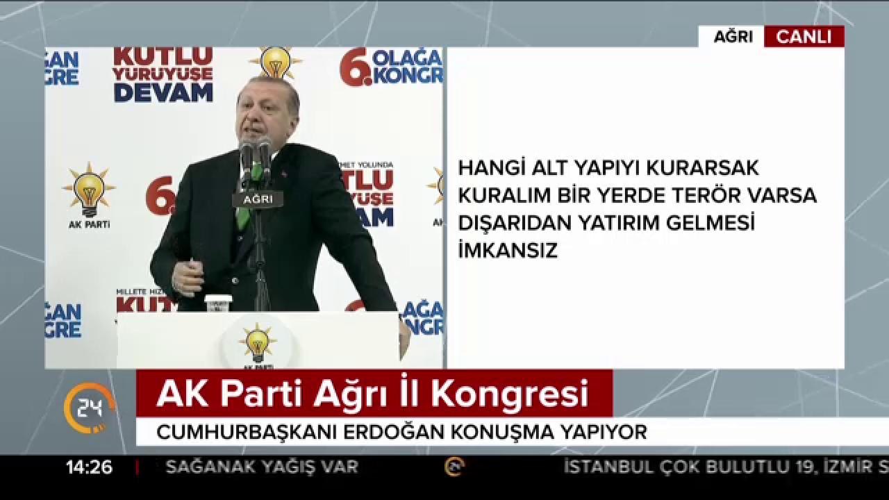 Terör belası