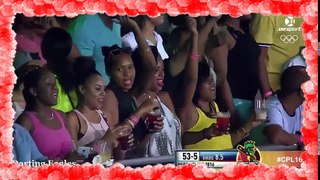 Top 10 Unique and Crazy Celebrations in Cricket HisI
