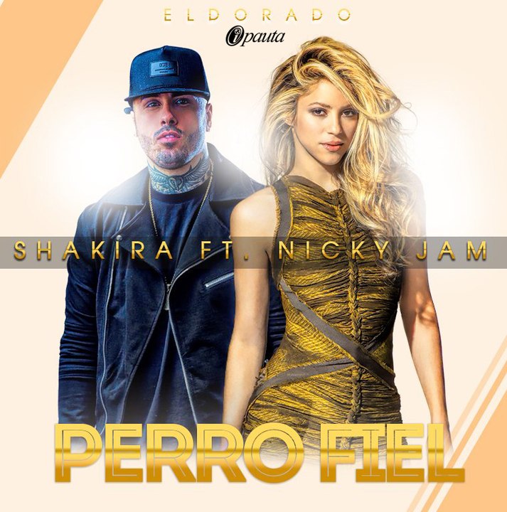 Shakira ft Nicky Jam - Perro Fiel ( Vdj Kara, DJDX ) ( Minin Remix )