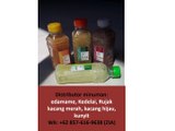 Jual Sari Kacang Hijau Homemade WA  62 857 7616 9638