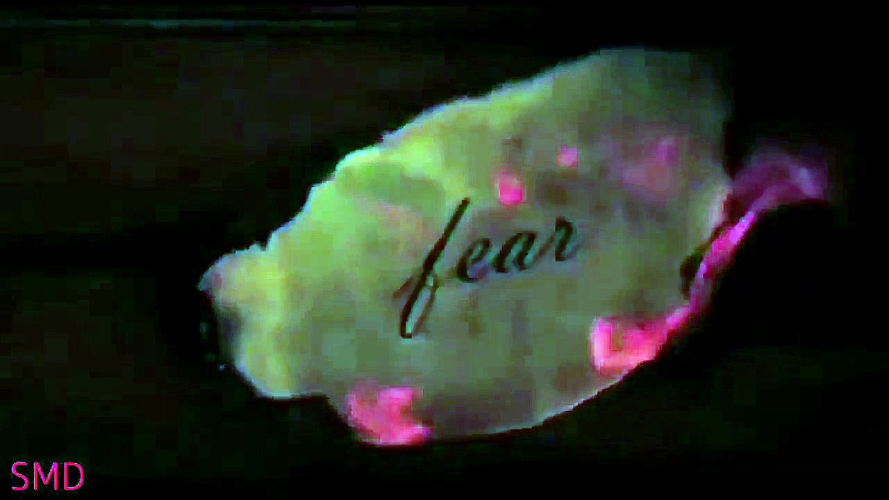 Motivational WhatsApp Status video by sandeep maheshwari