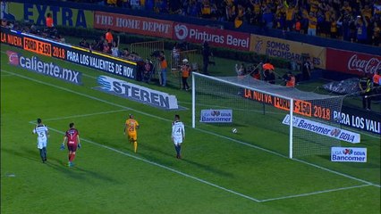 Les TIgres  de Gignac en finale