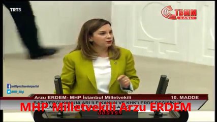 MİLLETVEKİLİ ARZU ERDEM TBMM KÜRSÜSÜNDE MİLLİ SPORCULARIN BURS SORUNUNA DEĞİNDİ