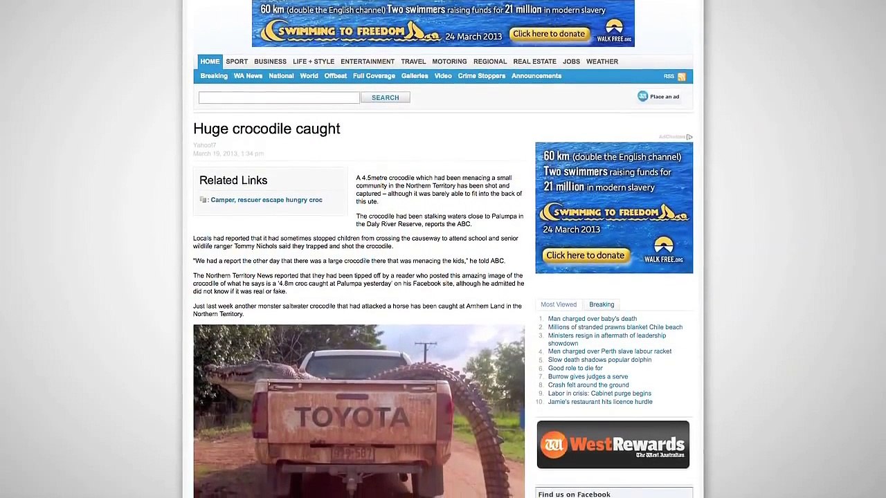 Massive Crocodile Shot in Australia-x24zcFMJf30