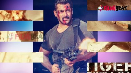 Salman Khan's Fight sequence with South's highest paid Villain Sudeep