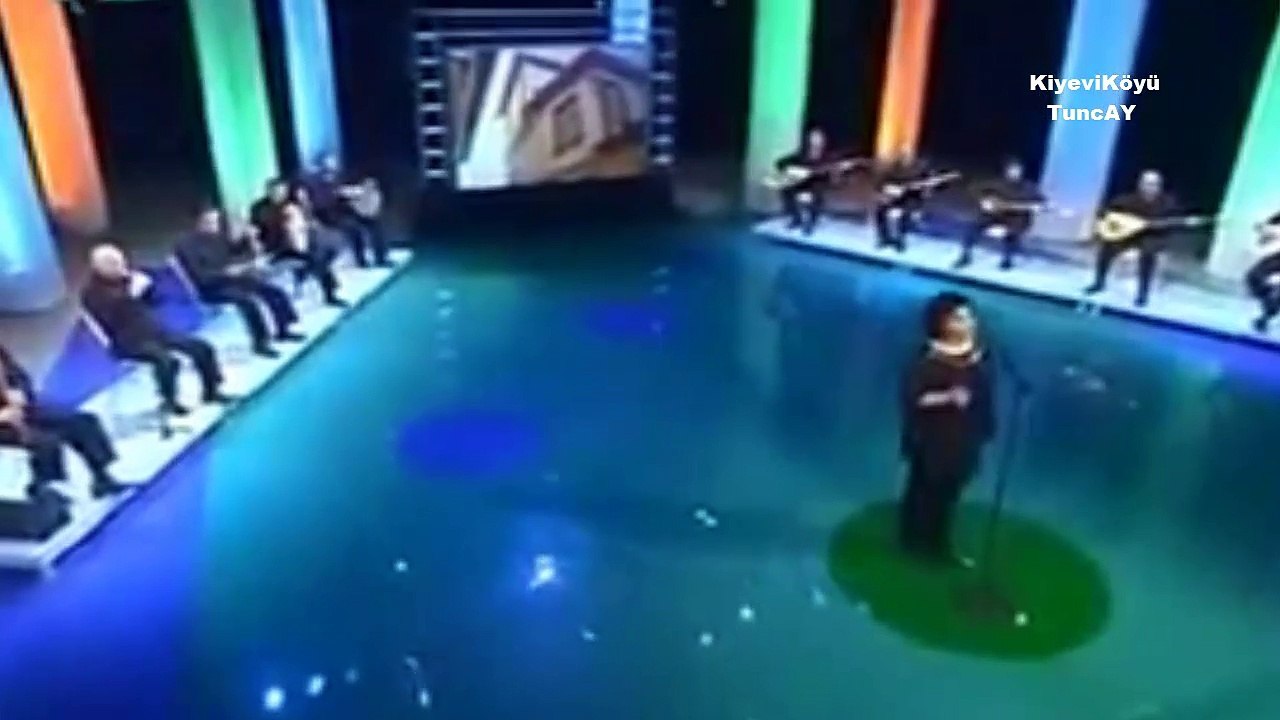 Gülşen Kutlu Bir Çift Turna Gördüm