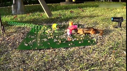 Don't Drive In Russia_ Fails (December 2017) - Funny AF