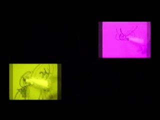 Gato Fedorento | Genérico (Séries Fonseca, Meireles e Barbosa)