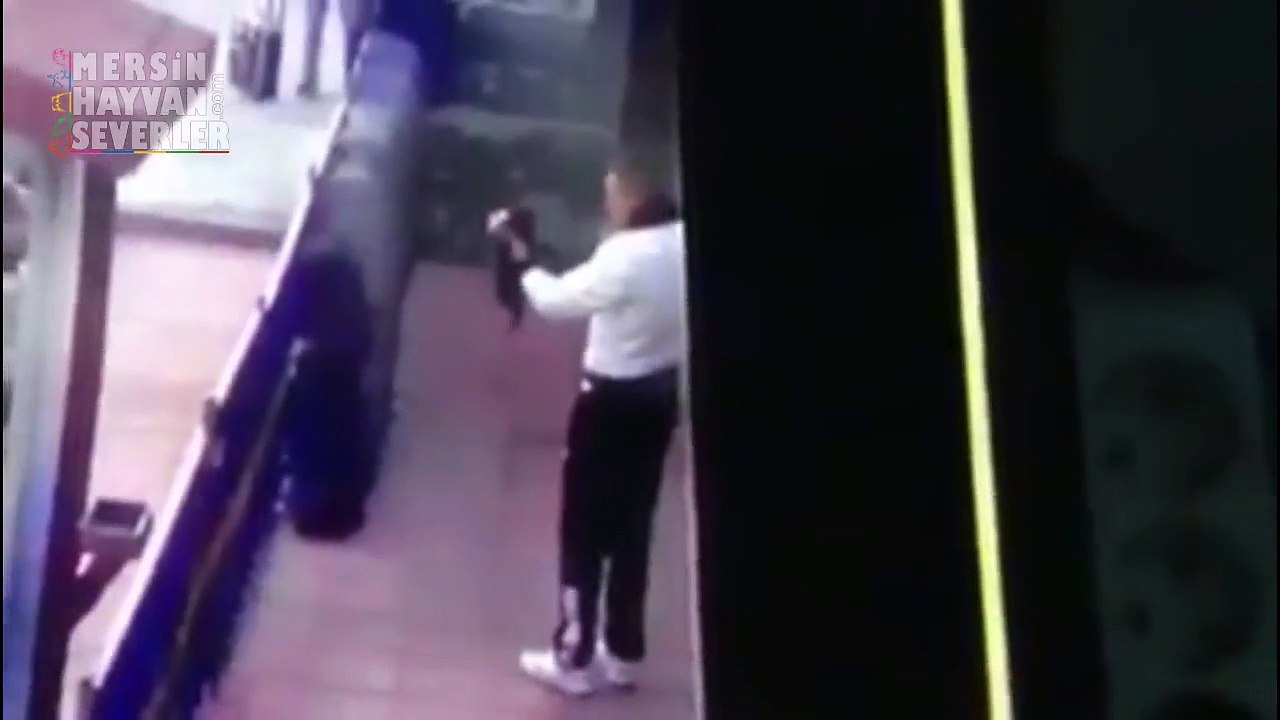 Erzincan Orduevi'nde vahşet görüntü! Asker, kediye eziyet etti.