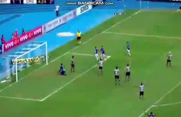 Botafogo/RJ 	1-2 	Cruzeiro  2 GOL cruzeiro