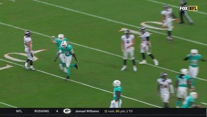 Dolphins send blocked punt completely airborne