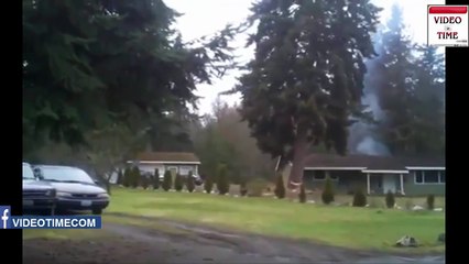 Ağaç keserken yaşanan kazalar. Önce iş güvenliği..