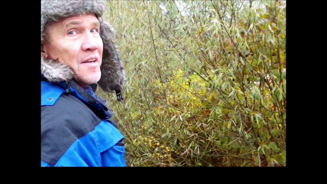 'Einsamer Mann auf Brücke' oder 'RIEDBACHRAUSCHEN +' . . .