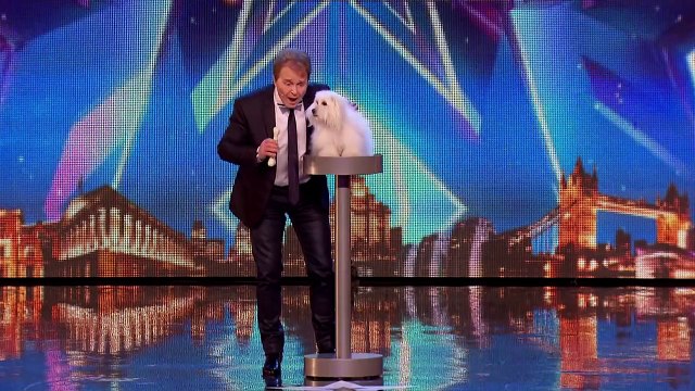 SINGING DOGS!! YOU WONT BELIEVE IT!!! Crazy Dog Auditions On Got Talent & X Factor | Top T