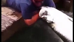 man catch fish with bear hands