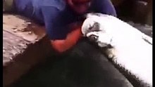 man catch fish with bear hands