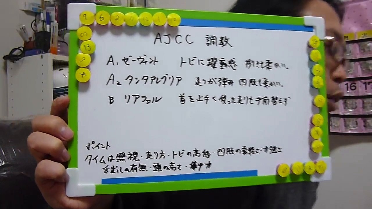 2017年　１月２２日（日）ＡＪＣＣ　調教診断　プロ馬券師集団『桜花』