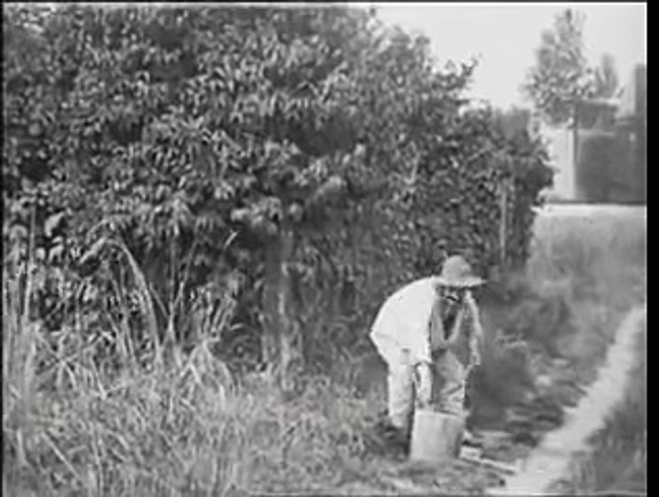 La Glu (1907)