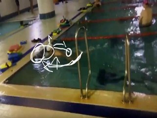 (시청자영상) 자유형!! 이렇게 부드럽나.발차기도..좋고!!