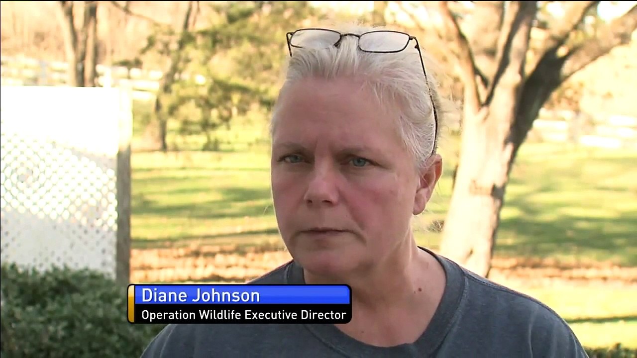 Wildlife Nonprofit Loses Hundreds of Dollars After Someone Steals Their Donation Box