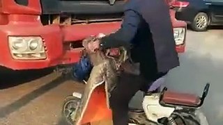 Biker keeps hitting  truck with head