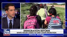 Sen. Tom Cotton on chain migration, Tillerson speculation