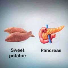 Foods That Look Like Body Parts They're Good For!