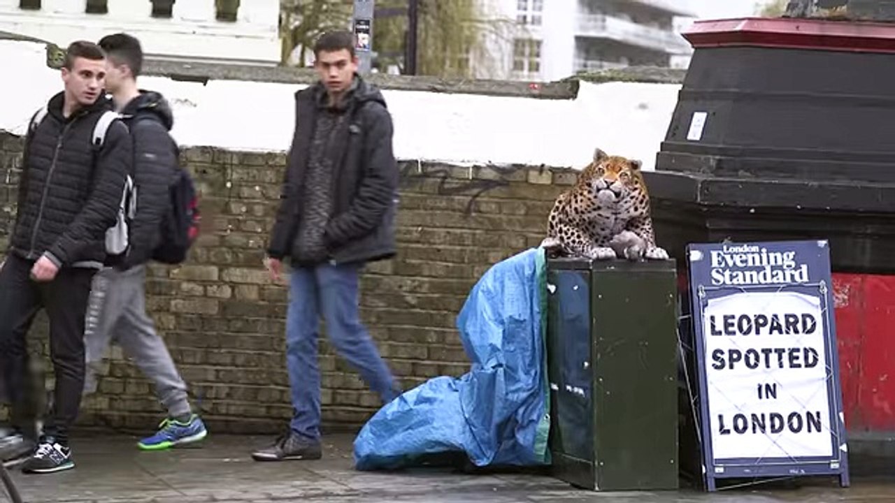 LEOPARD PRANK! very funny prank in public you cannot stop laughing awesome