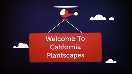 California Plantscapes : Indoor Plant Service in Irvine, CA