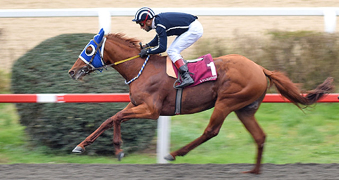 Zarrab'ın "Dayı"sı FETÖ'nün "Dayı"sı mı? / Zarrab'ın Atının Adının Gülen'in Adıyla Benzerliği Dikkat Çekti