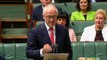Australian MP proposes during same-sex marriage debate
