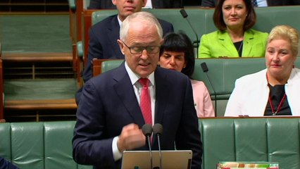 Australian MP proposes during same-sex marriage debate