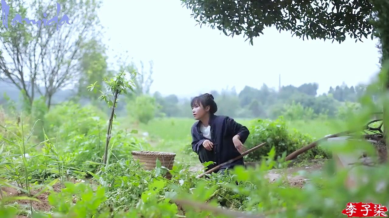 [Vietsub] Lý Tử Thất ---- Hỏa Diệm Túy Ngư (Món cá kho đậu phụ cùng rượu gạo) -- 火焰醉鱼