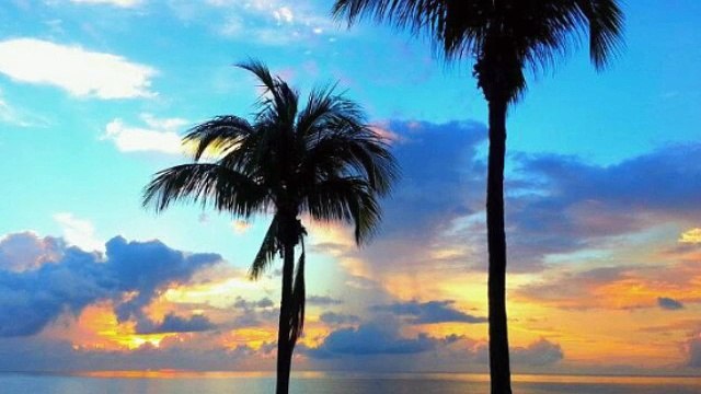 Naples Florida Weekly Rentals