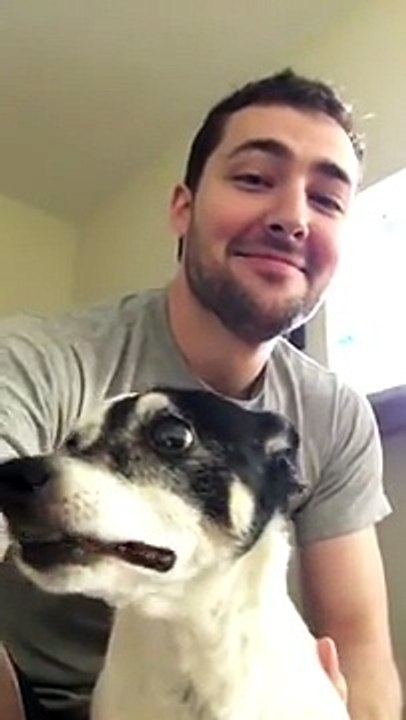 Est-ce un éternuement de chien ou le hennissement d'un mini cheval ?