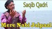 Hafiz Saqib Raza Qadri - Mere Nabi Jalpaal