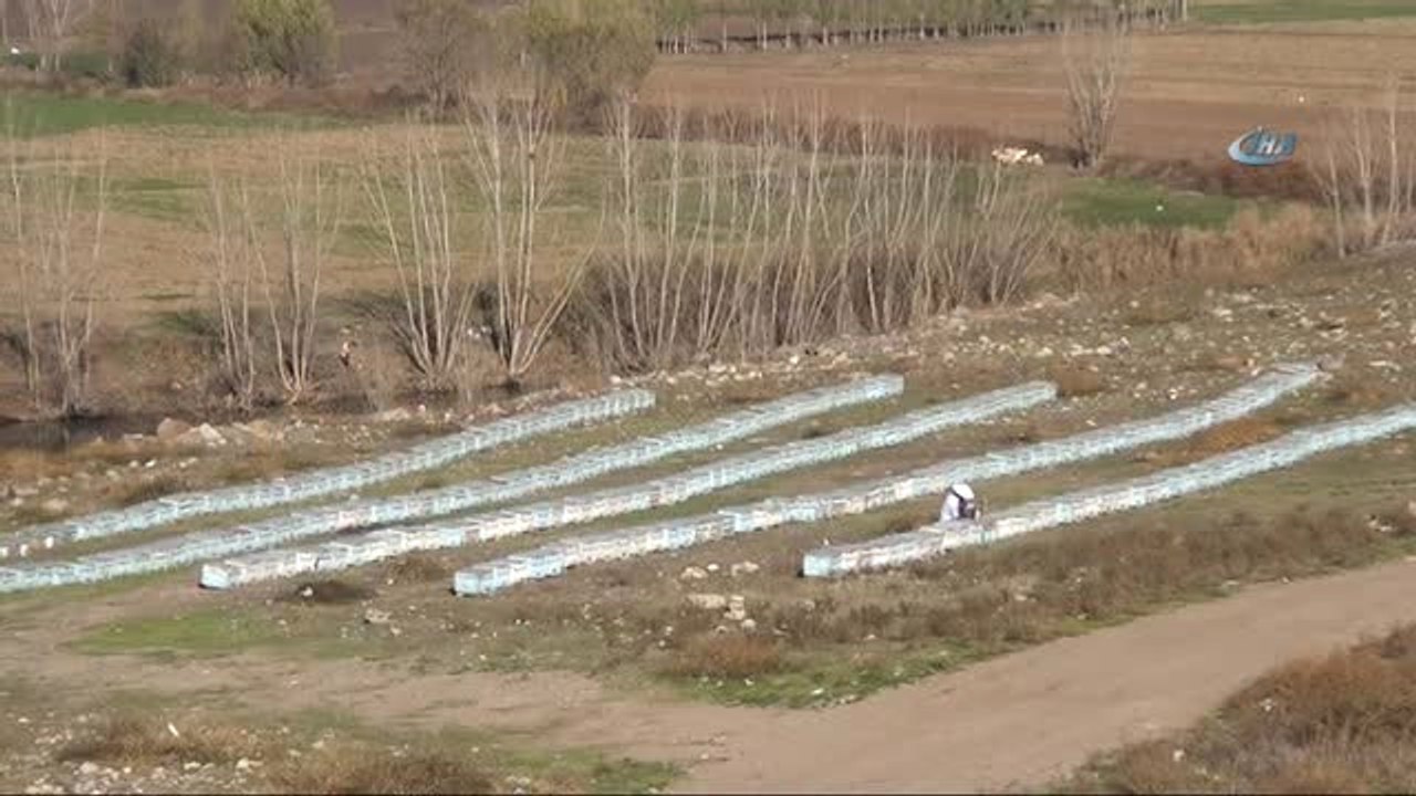 Dünya Kültür Mirası Işığında Arıcılık Yapıyor