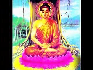 GIEO NHÂN GẶT QUẢ